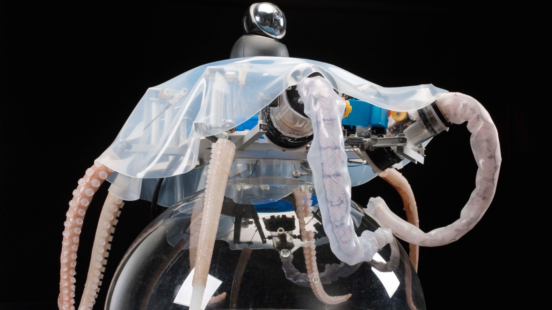 Octopus, robot ideato e realizzato dalla scienziata Cecilia Laschi e dal suo team di ricerca presso i laboratori dell’Istituto di BioRobotica della Scuola Superiore Sant’Anna di Pisa. Il robot ha il pregio di aver dato inizio alla prima generazione della soft robotica, ovvero robot ispirati a bio-modelli alternativi rispetto a quelli utilizzati precedentemente. In particolare, la caratteristica riprodotta è la “morbidezza” degli arti, contrapposta alla rigidità utilizzata generalmente nella robotica.